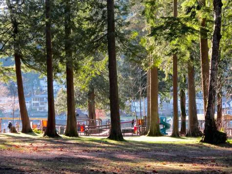 SAVE CULTUS LAKE PARK:  SAY ‘NO’ TO NEW DEVELOPMENT THAT DESTROYS THE PARK