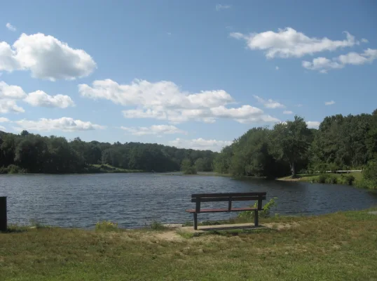 Holliston Should Recognize Indigenous Peoples' Day