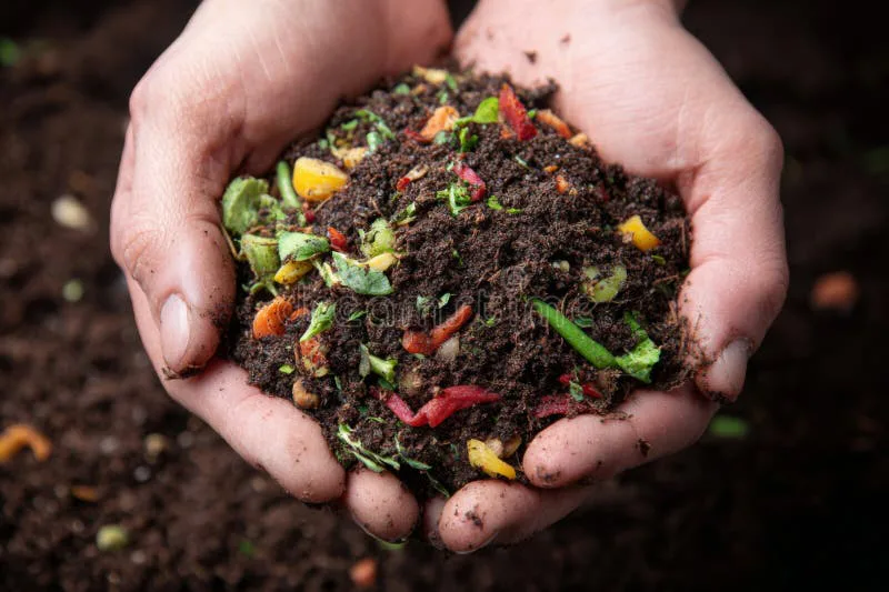 Please Support Composting in Ontario