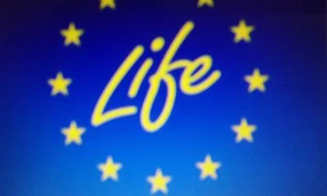 To Close Mount Carmel Hospital ( Malta gov.Mental hospital) On the grounds of inhumane Mental and Physical Abuse . Operating Outside EU               