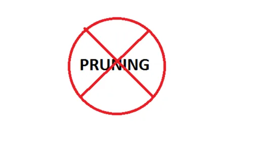 Stop the pruning