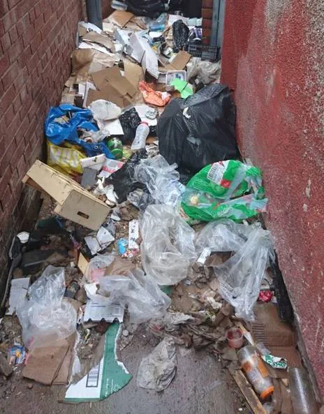 Bring Back Our Bins!