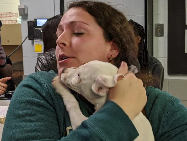 Stop Puppy Mill Abuse