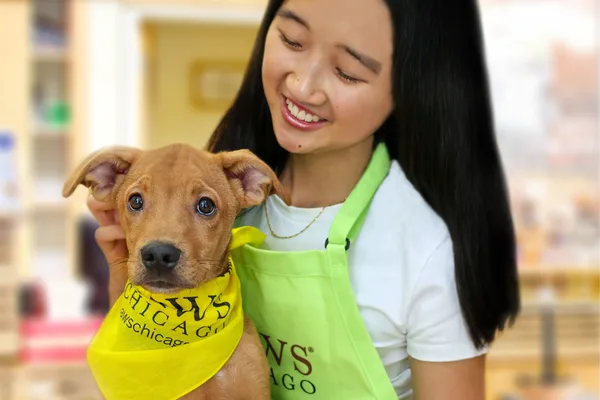 for children under age 16 to volunteer