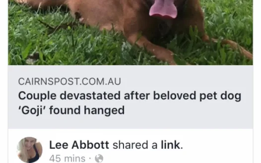 beloved family dog callously hung