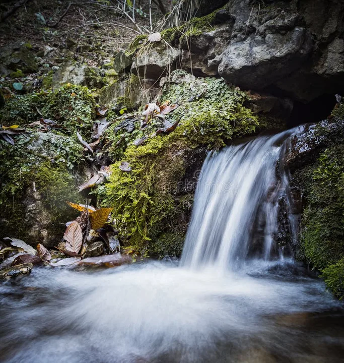 Save the Springs!