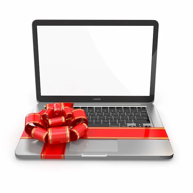 Get Eleni a laptop 