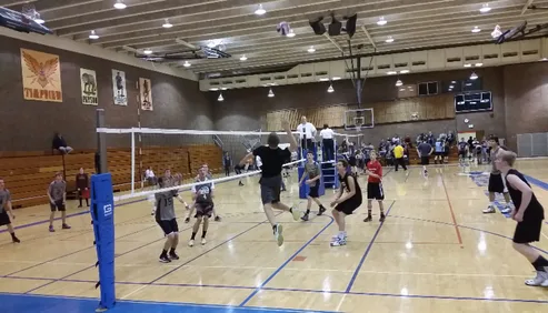 Bring back Boys' Volleyball to Provo High School
