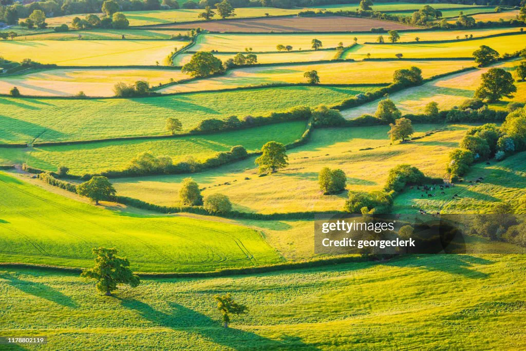 Save our Greenbelt (Rotherham)