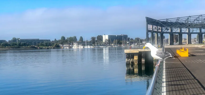 SAVE THE OPEN SPACE AND MARSHLAND AT BROOKLYN BASIN