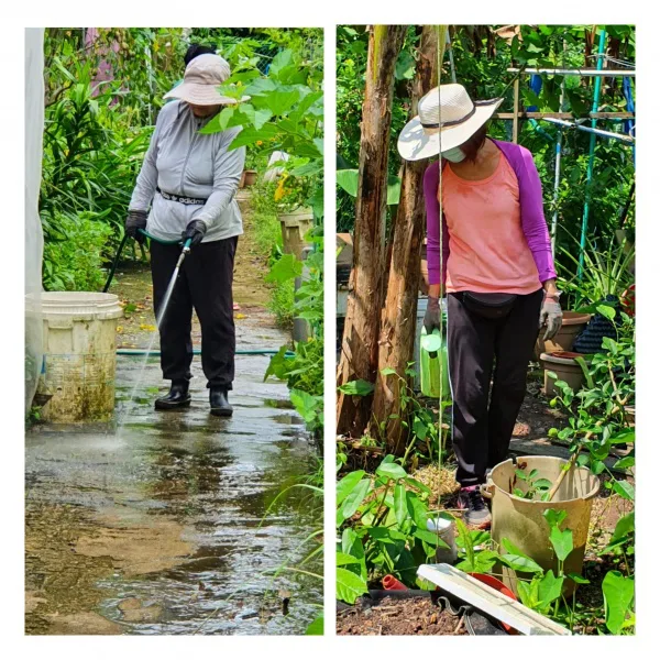 Petition to retain gardeners Ms Ong Geok Hong and Mrs Lee Youngja in EKCS CG
