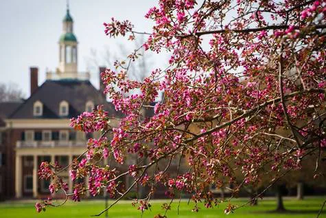 Petition Against the New Meal Plan-Miami University 2016