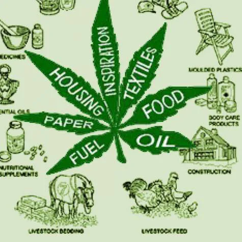 Legalize marijuana in Indiana