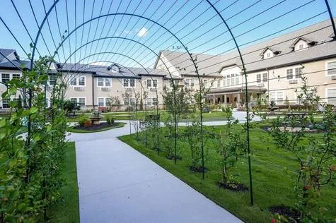 Support Improvement of Buford Highway by Supporting the Orchard