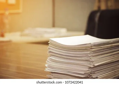 ELA essay petition