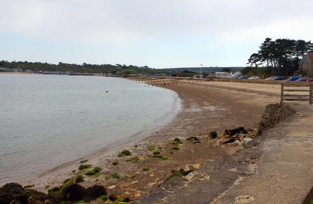 To stop the proposed Dog Ban on St. Helens Beach IW