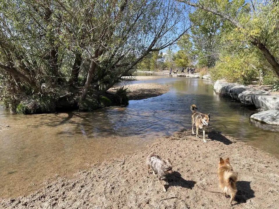 Preservation of the Cherry Creek Dog Park 