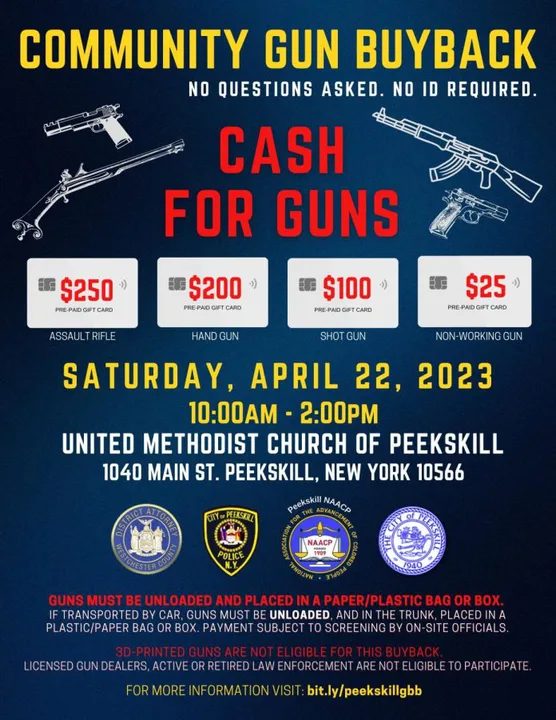 Wisconsin Gun Violence