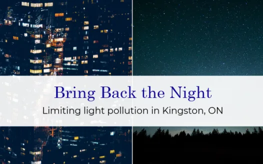 Bring Back The Night: Limiting light pollution in Kingston, ON