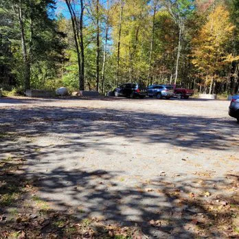 Petition to expand the Nepaug Forest parking to accommodate more cars