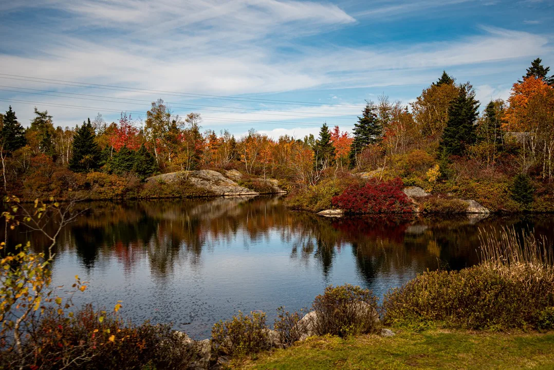 Save Rock wood Park