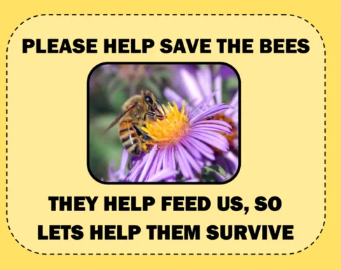 SAVE THE BEES. We must be more bee-friendly!