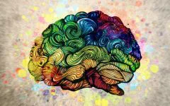 Whitehouse et al. 2021: Meet with Autistic Advocates to discuss diagnosis reduction study