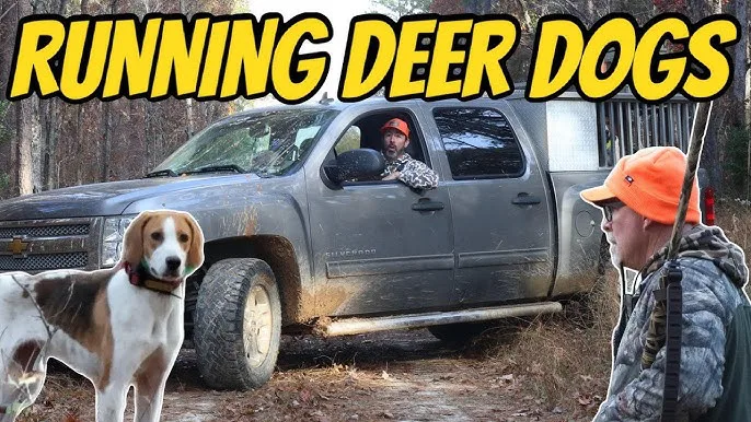 Ban Dog Deer Hunting in Orange County, NC