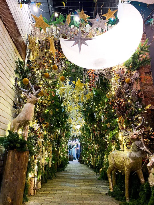 Get Connected To Turn On Belfast Christmas Lights