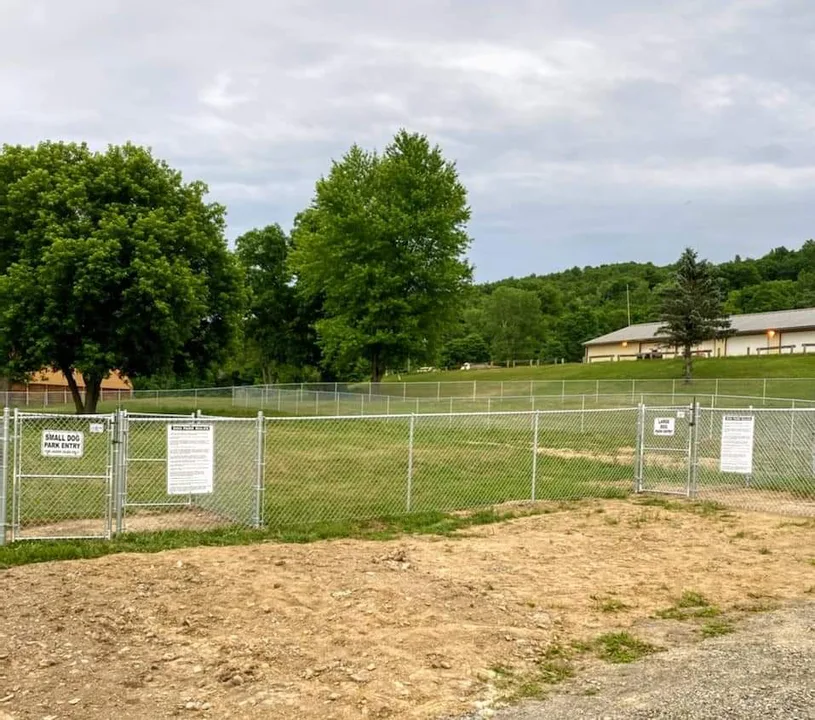 Turn Beaupre into a dog park.