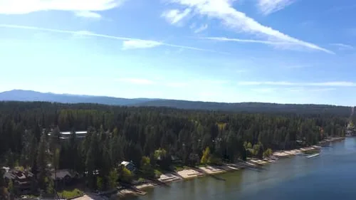 Save McCall