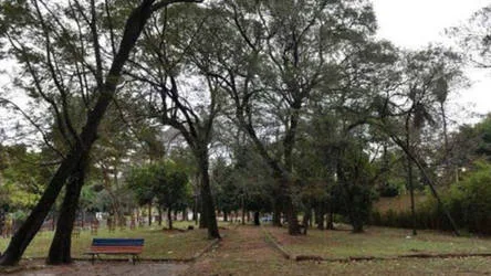 For the Pavetti Park (Asuncion - Paraguay) entire recovery