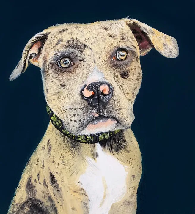 STOP THE MEDIAS DEFAMATION OF PIT BULLS