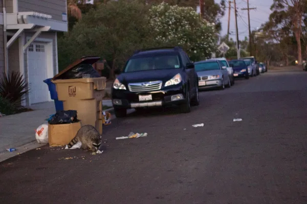 Increase Isla Vista Street Cleaning Frequency