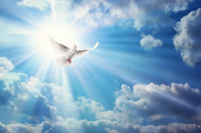 World Peace Project 