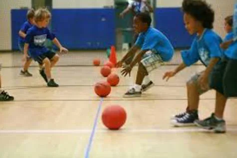 Return Dodgeball to Schools