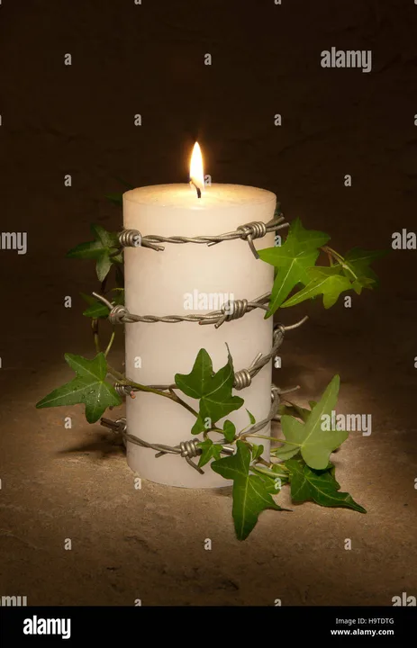 Amnesty International-support a bullet prooof Arms Trade Treaty