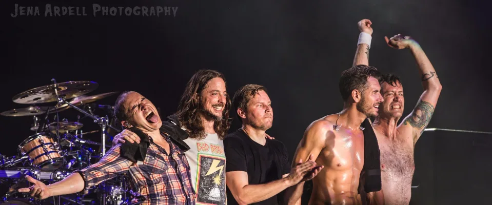 "What Do You Do?" at 311 Day 2018!
