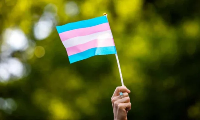 Support Your Trans Students at SAMS!