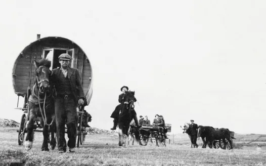 Irish Travellers, Political Representation