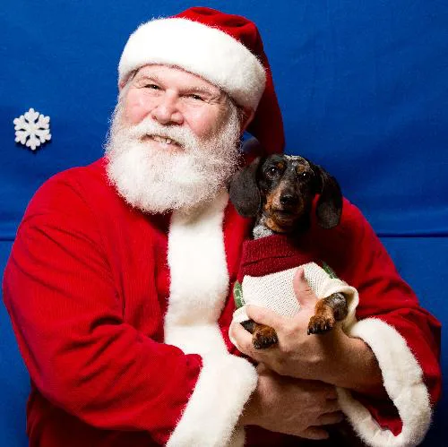 Bully Michelle into adopting Dapper the Dachshund 
