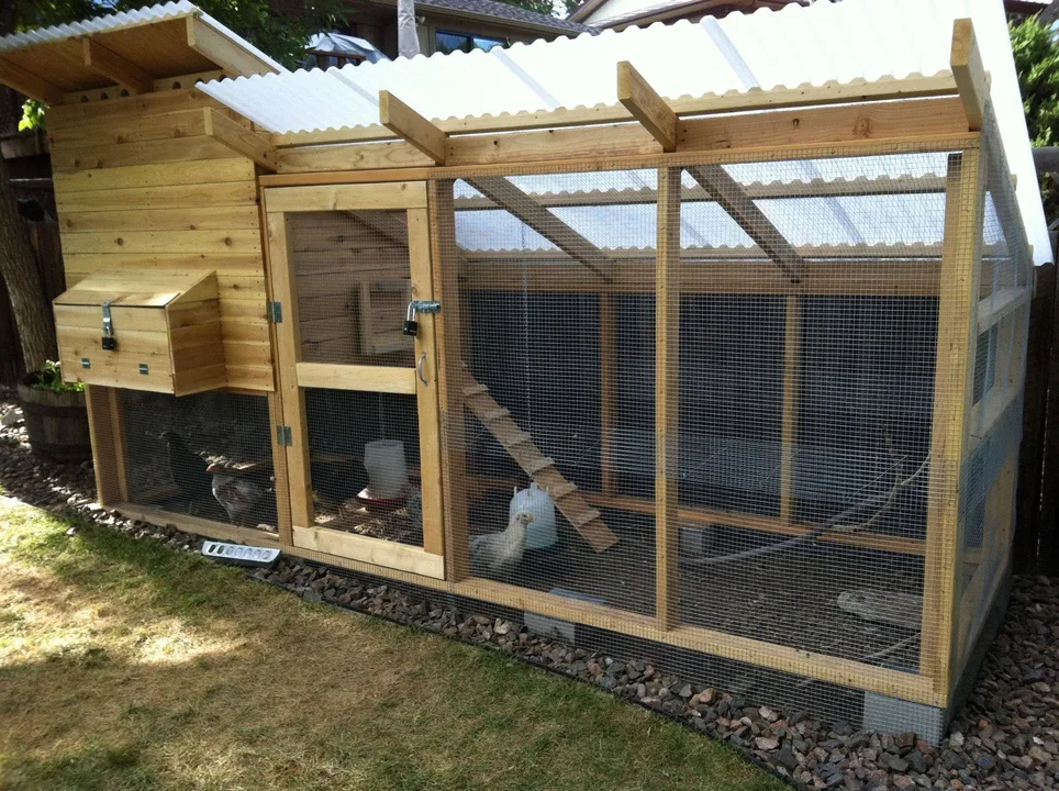 Add Chickens to the Zoning Ordinance