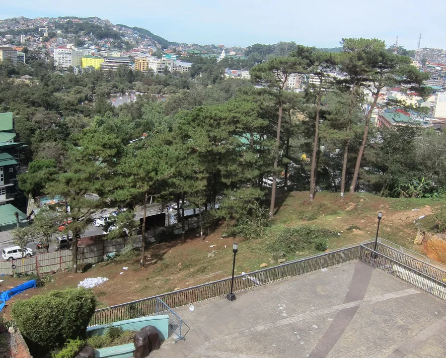 Petition for Pres. Benigno Aquino 111 to Spare the Trees at Baguio City's Luneta Hill