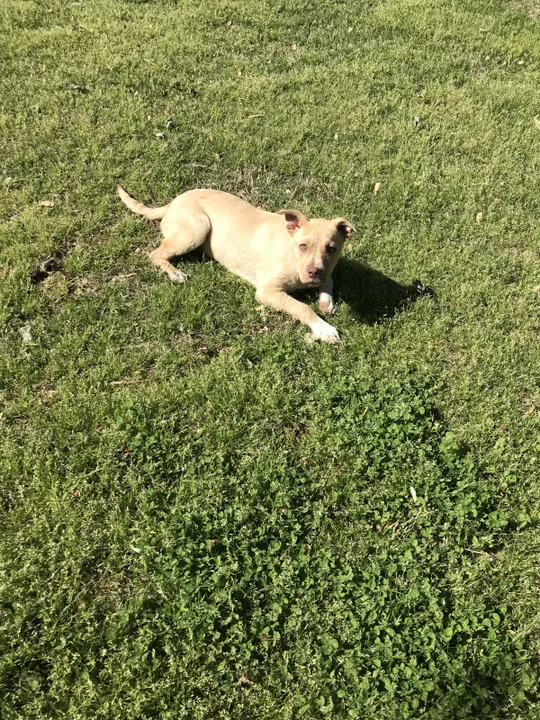 To Keep Tilly
