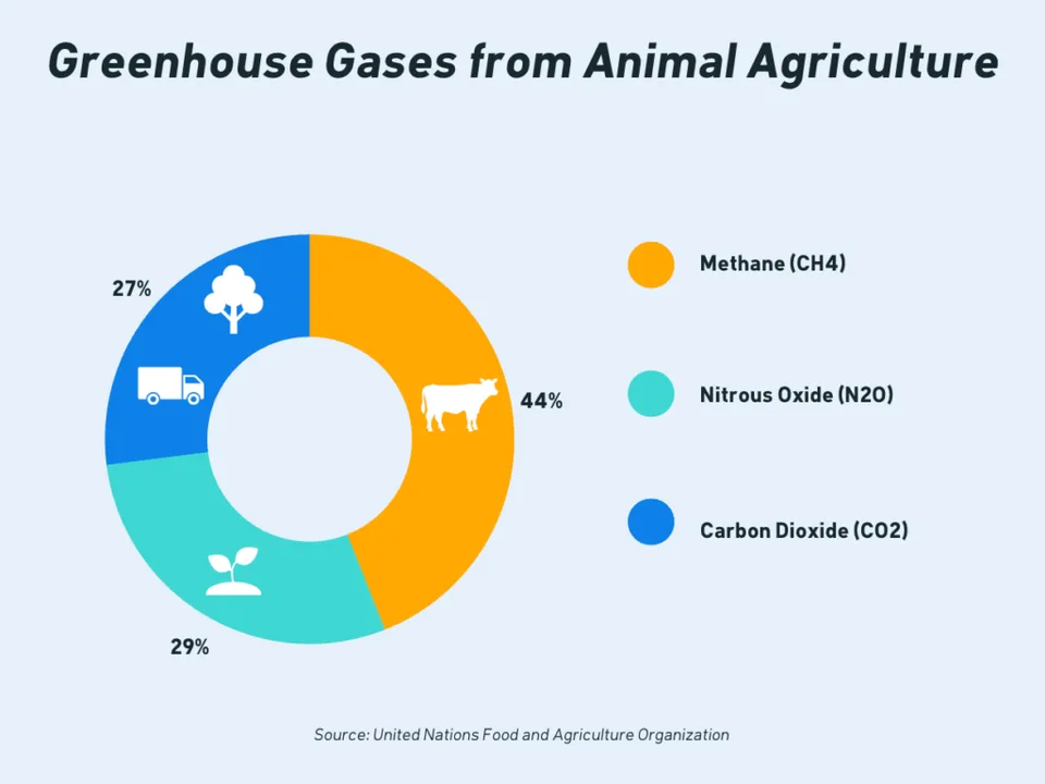 Livestock Production Reduction for the Environment