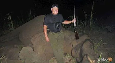 Stop the slaughter