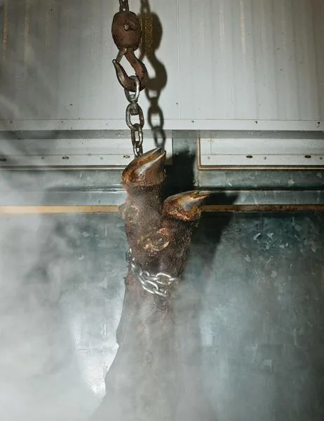 Raising the number of licensed officials onsite at Animal Slaughter Houses 
