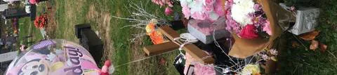 To ban all dogs from Bybrook Cemetery Ashford Kent!