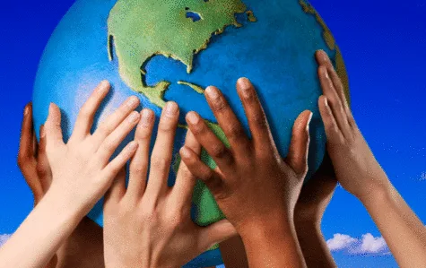 Non-profit Public Authentic  Montessori School 
