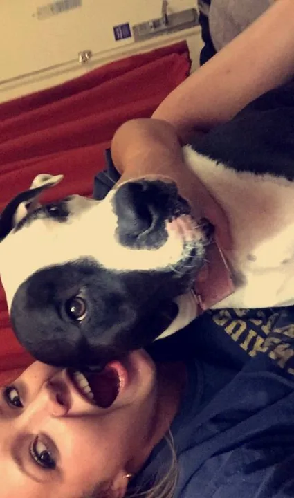 My 3 year old dog sentenced to euthanization for only playing..